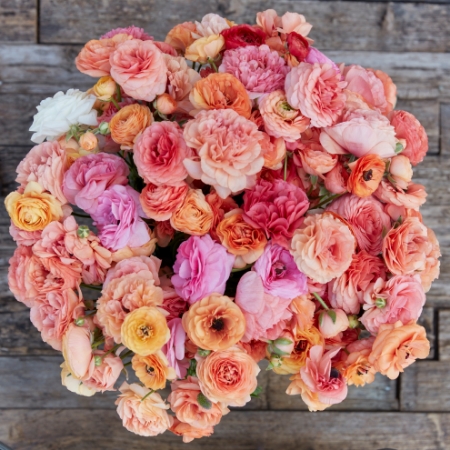 Picture for category Ranunculus and Anemones